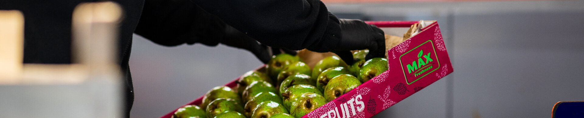 Van Kessel Fruit - Oskam-3397.jpg